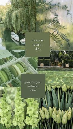 a collage of green plants and flowers with the words dream plan do go where you feel most