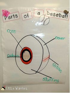 the parts of a baseball on a white board with words and pictures attached to it