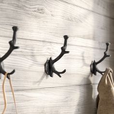 three coat hooks are hanging on the wall