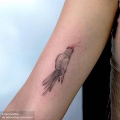 a small bird tattoo on the arm