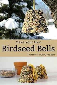 birdseed balls hanging from a tree with the words make your own bird seed bells