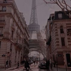 the eiffel tower towering over all of paris