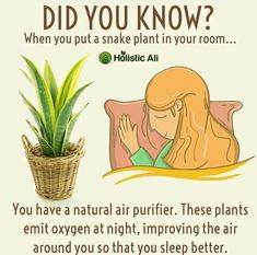 a woman sitting in bed next to a potted plant with the caption did you know? when you put a snake plant in your room