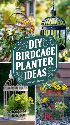 birdcage planter ideas for the garden