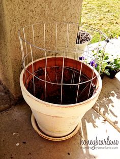 a potted plant sitting on the ground next to a cement wall with wire in it