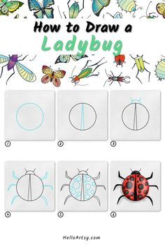 Step by step lesson teaching you how to draw a Ladybug Drawing Picture To Draw, How To Draw Insects, Insect Drawings, Insects For Kids, Full Drawing, Drawing Competition