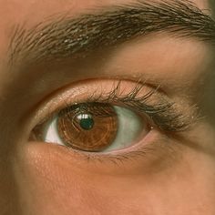 Beautiful Brown Pictures, Bright Brown Eyes, Honey Brown Eyes Aesthetic, Brown Almond Eyes, Brown Eyes Guy, Chestnut Brown Eyes, Honey Colored Eyes, Big Eyes Aesthetic, Brown Eyes Boy