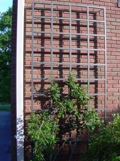 a brick building with an iron fence on the side and trees growing out of it