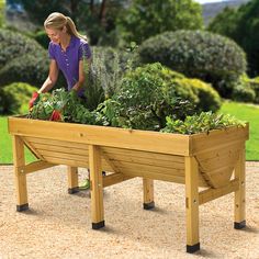 a woman in purple shirt standing next to a wooden planter filled with green plants