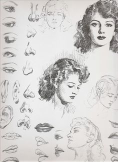 a drawing of many different types of women's faces and noses, all drawn in pencil