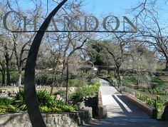 a sign that says london on it in front of some trees and bushes with yellow flowers