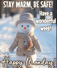 a snowman is standing in the snow wearing a hat and scarf with words stay warm, be safe have a wonderful week