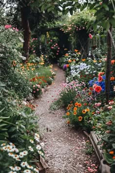 a garden with lots of flowers and plants growing on the side of it's path