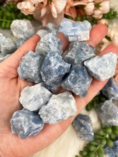 Awesome pieces of raw Blue Calcite! This blue color is super soothing, and will make a great accent piece to your crystal displays. Since it is somewhat polished (tumbled rough), it can also be carried with you in your purse! The shades of blue will vary, and the formations as well. Some will be chunkier than others. From Mexico APPROX. SIZE: 1" - 1.5" You will receive ONE blue calcite piece that is randomly chosen for you. --- Crystal properties on the Crystals and Their Meanings page. Orders a Blue Mineral Crystal For Healing, Crystals And Their Meanings, Find Inner Peace, Crystal Properties, Blue Calcite, Crystal Meanings, Raw Crystal, Stone Rocks, Crystals Minerals