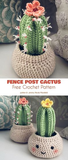 two crocheted cactus pots sitting on top of each other with flowers in them