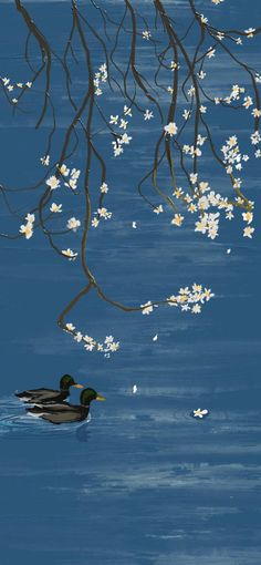 a duck floating on top of a body of water under a tree with white flowers