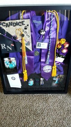 a display case filled with purple and yellow graduation caps, tassels, and other items