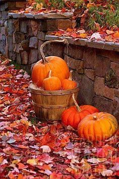 several pumpkins in a basket on the ground next to a stone wall and fall leaves