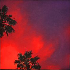 red and purple sky with palm trees in foreground