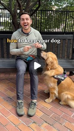 a man sitting on a bench next to a dog and holding something in his mouth