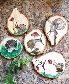 four slices of wood with painted animals on them and plants growing out of the top