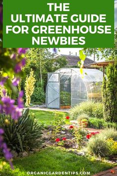 the ultimate guide for greenhouse neubies