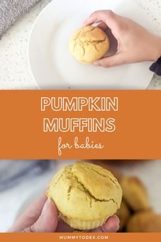 pumpkin muffins for babies and toddlers are the perfect fall treat to eat