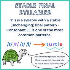 a poster with an image of a tortoise and the words, turtle final sylla