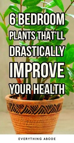 a potted plant with the words 6 bedroom plants that'll dramatically improve your health