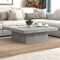 a living room with a couch, coffee table and rug