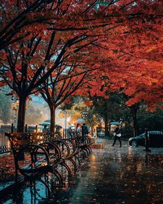 people walking in the rain with umbrellas and bicycles parked on the side of the street