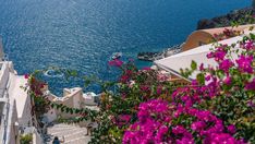 an aerial view of the ocean with purple flowers in bloom and boats on the water