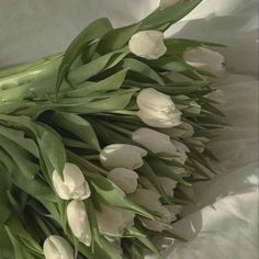 a bouquet of white tulips laying on top of a bed with the stems still attached