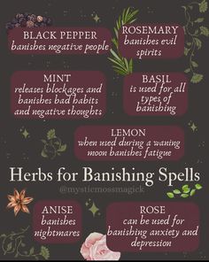 Herbs For Spell Jars, Banishing Herbs Witchcraft, Magic Oils Witch, Banishing Herbs Magick, Binding Herbs Witchcraft, Cleansing Herbs Witchcraft, Banishing Jar Spell, Herbs For Truth Spell, Candle Ritual Witchcraft