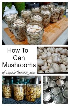 jars filled with mushrooms sitting on top of a wooden table