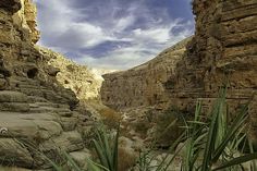 some very pretty rocks and plants by the water in this desert area with blue sky