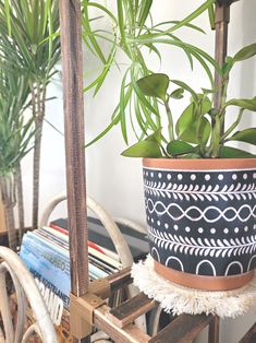 two potted plants sitting on top of a wooden shelf next to other planters