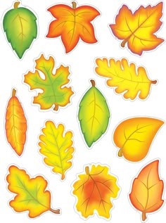 an assortment of autumn leaves stickers on a white background stock photo - budget conscious