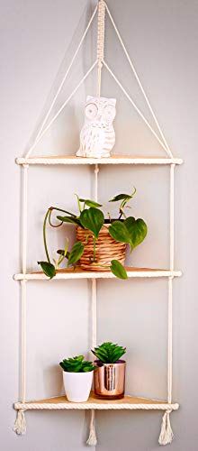 three shelves with plants and pots on them