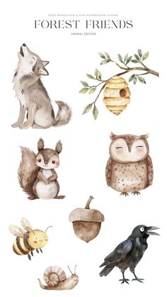 watercolor illustrations of different animals and birds with the words forest friends written below them