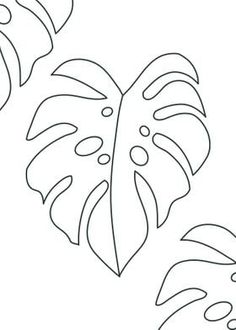 a drawing of two tropical leaves on a white background with the outlines for each leaf