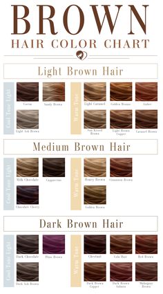 Brown Hair Color Chart, Dark Ash Brown, Hair Chart, Brunette Hair Cuts, Motivasi Diet, Medium Brown Hair, Chocolate Hair, Brown Hair Color