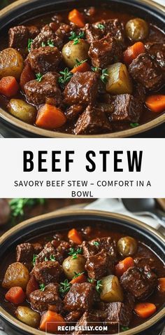 beef stew in a bowl with carrots and potatoes