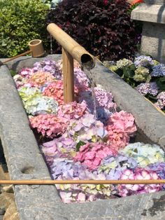 flowers are being watered in an old water trough