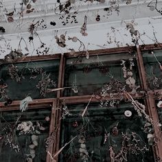 an old window covered in vines and flowers