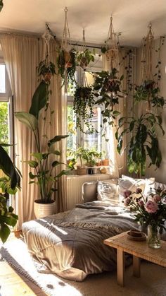 a bedroom with lots of plants hanging from the ceiling and curtains on the windowsill