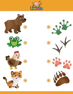 an animal matching game with different animals and their tracks to find which one is right for them