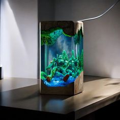 an aquarium is displayed on a table in front of a white wall and black floor