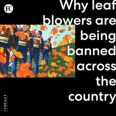 a poster with the words, why leaf blowers are being banned across the country