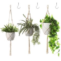 three hanging planters with plants in them